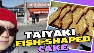 Taiyaki Popular Japanese Street food [upl. by Nemzzaj695]