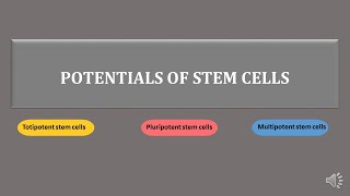 stem cells  totipotent pluripotent multipotent stem cells  scitechtrends [upl. by Llechtim]