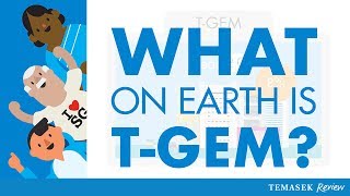 What Is TGEM [upl. by Ettesil]