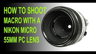 How to shoot Macro photography with a 55mm Nikon Mirco lens  Extreme Macro Part 2 [upl. by Renault156]