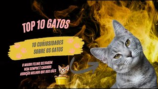 Top 10 curiosidades sobre gatos gateiros gateirosdobrasil gatinhosfofinhos gatinhofofo gatos [upl. by Dulsea]