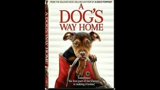 A Dogs Way Home 2019  HD Full Movie Podcast Episode  Film Review [upl. by Sharma839]