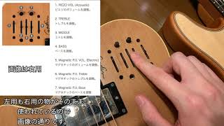 オススメのエレアコ！ Godin A6 Ultra Lefthanded 左利き用 コスパ最強？ゴダンのエレアコ！ [upl. by Hendry643]