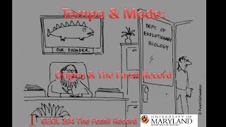 Lecture 7 Tempoamp Mode Originsamp the Fossil Record [upl. by Moyna]