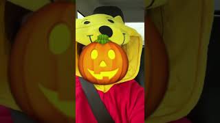 I’m Winnie the Pooh americangirldoll halloween2024 fypシ゚viral [upl. by Hoye]