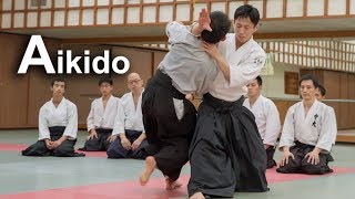 Aikido Dynamic and smooth techniques  Shirakawa Ryuji shihan [upl. by Jourdan]