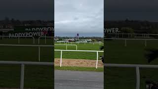 ALL THE ANGLES 🎥 Galopin Des Champs wins the Irish Gold Cup 🏆 dublinracingfestival [upl. by Everest165]