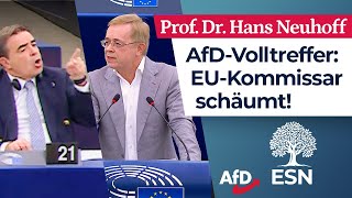 „Sie sind Europas Totengräber“ – Prof Dr Hans Neuhoff AfD [upl. by Katz]