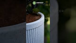 Revamp your garden with the Tokyo Short Round Planter plants plantlovers [upl. by Towill]