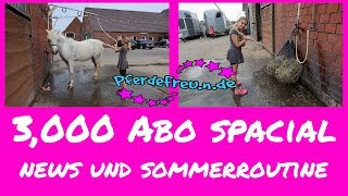 3000 Special Pferde Freunde Sommer Routine  News [upl. by Thibaud]