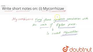 What are baculoviruses  Give one example  CLASS 12  MICROBES IN HUMAN WELFARE  BIOLOGY  Dou [upl. by Tarazi11]