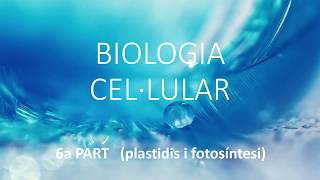 Biologia cel·lular 6 cloroplast i fotosíntesi [upl. by Forras]