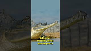 Fascinating Facts About the Gavial You Didnt Know gavial crocodile wildlife [upl. by Cordy108]