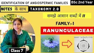 Ranunculaceae Family 🏵️  Floral diagram and formulas  Taxonomy  Economic importance [upl. by Philemon]