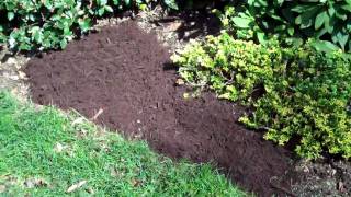 How the Pros spread Mulch [upl. by Fair470]