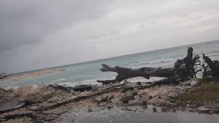 HIGH TIDE March 12 2021 MAJURO ITS BY THE AIRPORT Majuro Marshall Islands [upl. by Buford236]