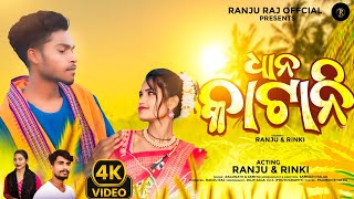 ଧାନ କାଟାନି DHAN KATANI NEW KORAPUTIA DESIA VIDEO SONGSINGER RAGUNTHampASMITANEW KORAPUTIA SONG 2024 [upl. by Aicilat793]