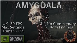 AMYGDALA  4K  60 FPS  Max Settings  Lumens On no commentary [upl. by Isabella519]