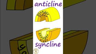 Anticline or syncline [upl. by Ethbinium58]