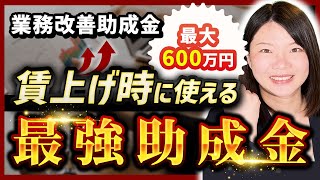 【業務改善助成金】最大600万円！賃上げ時に使いやすい最強助成金 前編 [upl. by Narual]