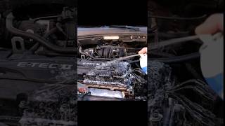 gunk heavy duty gelhow to degrease engine bay shorts [upl. by Gibb]