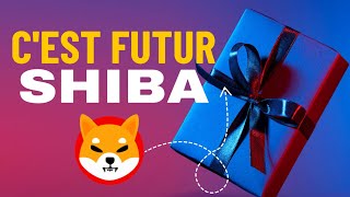 Le Nouveau Shiba  Le Cadeau Crypto de Demain [upl. by Aniraz501]