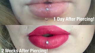 Vertical Labret Piercing  Swelling Pain Healing Time  Everything You Need To Know [upl. by Mattheus]