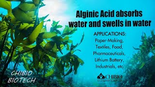 Alginic Acid absorbs water and swells in waterChibio [upl. by Aicerg]