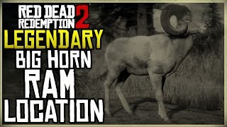 WHERE TO FIND THE LEGENDARY RAM LOCATION  HUNT  RED DEAD REDEMPTION 2 [upl. by Esinel]