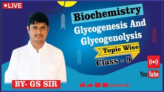 Reaction of Glycogenesis  Glycogenolysis Pathway  Reaction of Glycogenolysis  By GS Sir [upl. by Muire]