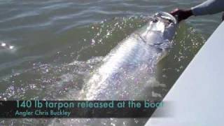 140 lb Tarpon on Fly [upl. by Petr38]