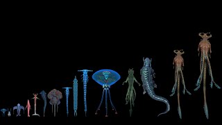 All Leviathan Class Organisms known yet on 4546B  All leviathan size comparison [upl. by Akenna]