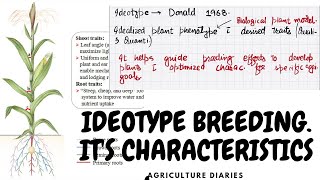 Ideotype Breeding  Its Types and Characteristics of Ideotype [upl. by Alessandra]