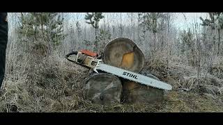 Stihl 076aveq  41quot Duromatic Bar  Finnish Knotty Spruce [upl. by Enyale686]