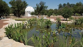 The Orange Grove Botanical Pond at California State University Northridge CSUN [upl. by Nivej917]