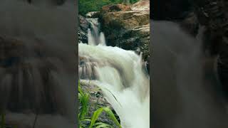 Discover the wild beauty of Lo O stream Ninh Thuan [upl. by Atsyrk669]