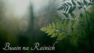 Buain na Rainich  A Fairys Love Song  Scottish Gaelic [upl. by Krysta]