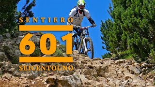 Sentiero 601 Gardasee Downhill Freeride Mountain Bike Trail Lago di Garda Altissimo MTB [upl. by Barrus]