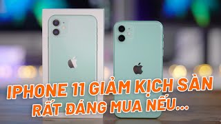 iPhone 11 Giảm Giá Rất Sâu  Nhưng Còn Đáng Mua Trong Năm 2024 [upl. by Grayson702]