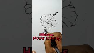 How To Draw Hibiscus flower জবাফুল shorts art drawing youtubeshorts flowers flowerdrawing [upl. by Brechtel]