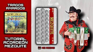 Tragos Amargos  Ramon Ayala  Tutorial Acordeón Mezquite [upl. by Holton]