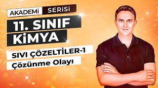 🎯ÇÖZÜNME OLAYI I SIVI ÇÖZELTİLER I 28DERS I 11 SINIF [upl. by Dibb882]