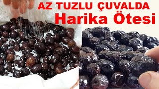 BASTIRMA❗SELE ZEYTİN NASIL KURULUR ACISI NASIL GİDERİLİR İKİ TARİF [upl. by Kosiur368]