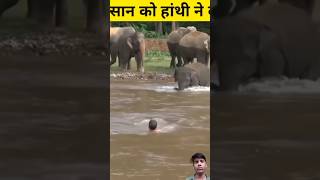 dubte hue Insan ko hathi ne bachaya 🥰 amazingfacts animals elephant shortvideo viralvideo [upl. by Artenahs91]