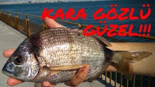 LRF İLE KARAGÖZLER  EFSANE BALIK TARİFİ catch and cook fishing [upl. by Michael]