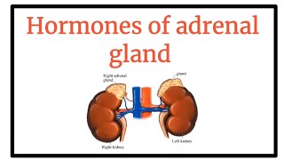 Hormones of Adrenal gland  Hormonal or Endocrine system [upl. by Stormie]