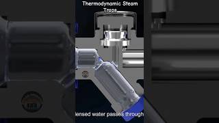 Steam Trap Working Animation  Thermodynamics Steam Trap  BoilerOperator [upl. by Stutzman]