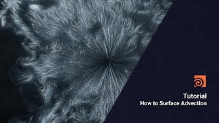 How to Surface Advection  Houdini tutorial beginnerhip file [upl. by Neirod382]