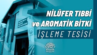 Nilüfer Tıbbi ve Aromatik Bitki İşleme Tesisi [upl. by Anastas]