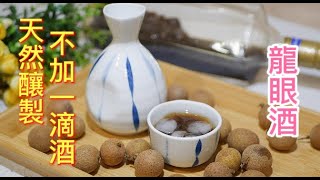 純天然釀酒不加一滴酒龍眼水果酒小酌天然好酒Natural Good Taste Longan Fruit Wine recipe [upl. by Idell]